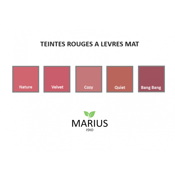 Rouge à Lèvres mat pour homme