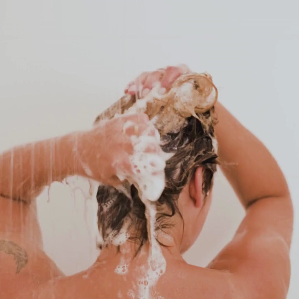 Shampoing Hydratant aux Plantes et Aloe Vera